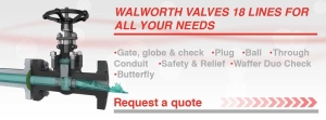 Walworth X-section Valve